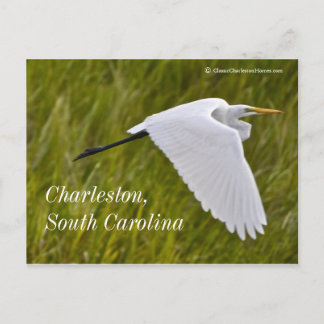 Heron of Charleston Vykort