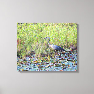Heron P6450 Canvastryck