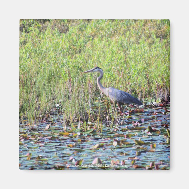 Heron P6450 Magnet (Framsidan)