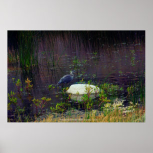 Heron P6987 Poster