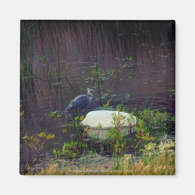 Heron P9687 Magnet (Framsidan)