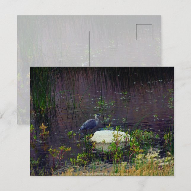 Heron P9687 Vykort (Fram/baksida)
