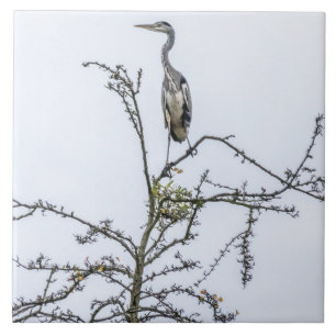 Heron på en keramisk bricka i träd kakelplatta