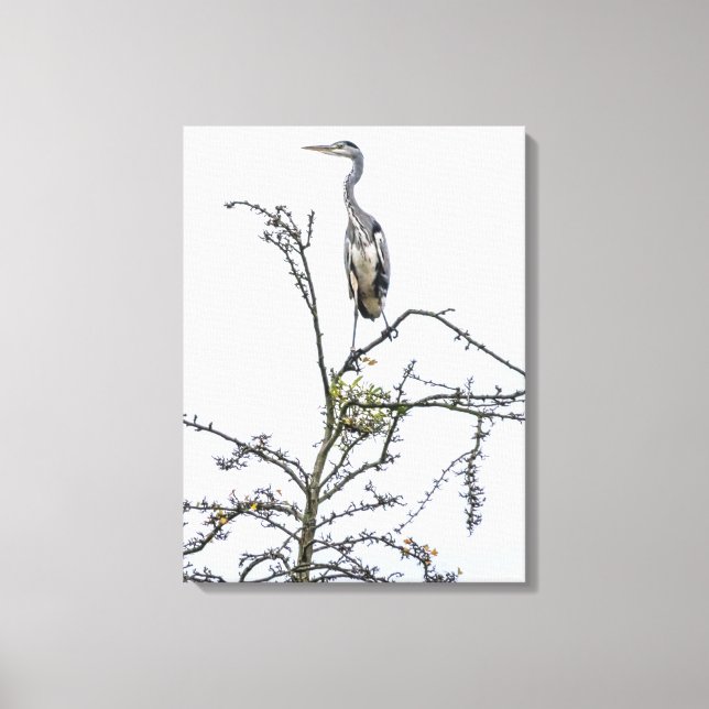 Heron på kanvastrycket i träd canvastryck (Framsida)