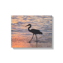 Heron på morgonen i tidigt