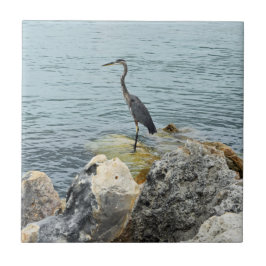 Heron på Sten vid stranden Kakelplatta