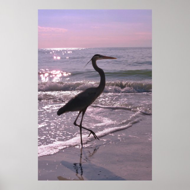 Heron på Stroll Poster (Framsidan)