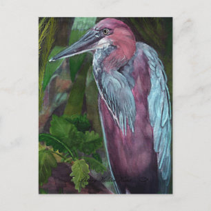 Heron Permanent Ensam 2 vykort