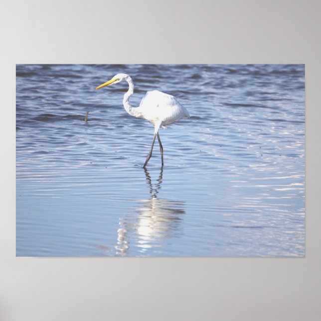 Heron Photo Poster (Framsidan)