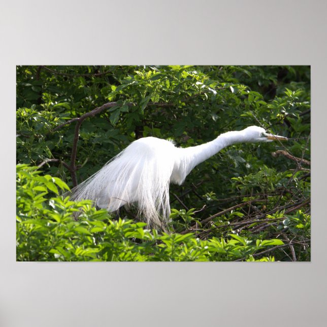 Heron Photo Poster (Framsidan)
