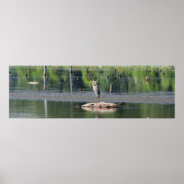 Heron Poster (Framsidan)