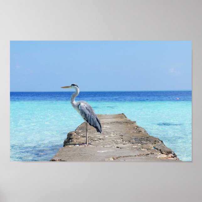 Heron Sea Bird Poster (Framsidan)