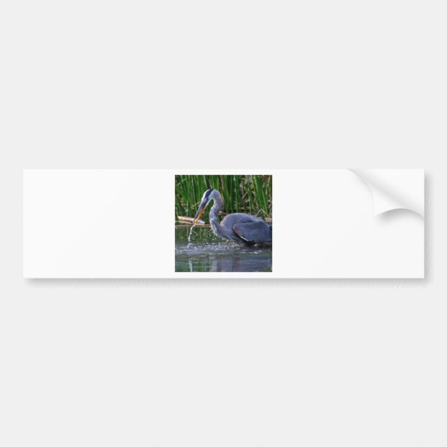 Heron Stänk Bildekal (Framsidan)