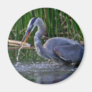 Heron Stänk Magnet