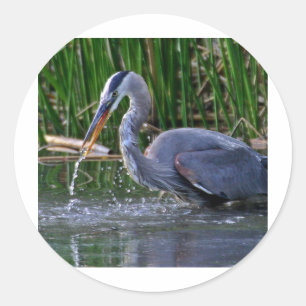 Heron Stänk Runt Klistermärke