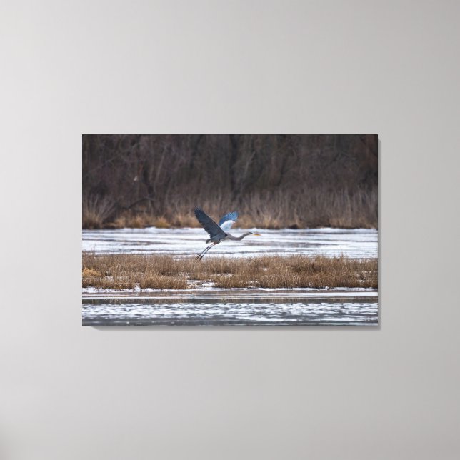 Heron-start Canvastryck (Framsida)