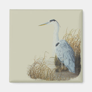 Heron vid Marsh Kant Magnet