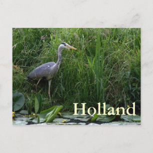 Heron Vykort