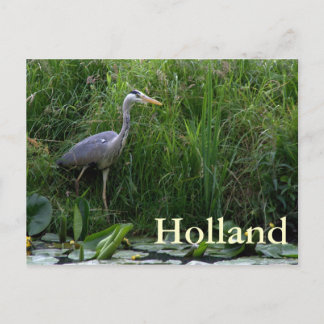 Heron Vykort
