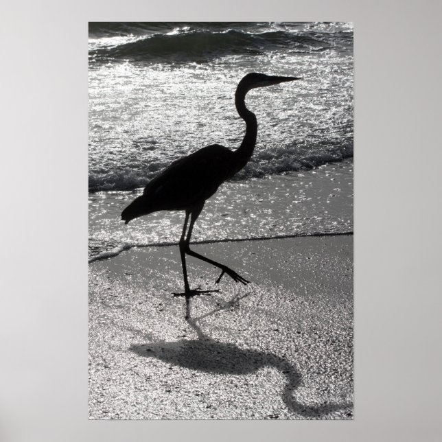 Heron Walking on Shore Poster (Framsidan)