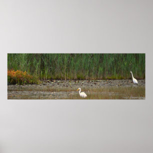 Heroner i Marsh Poster