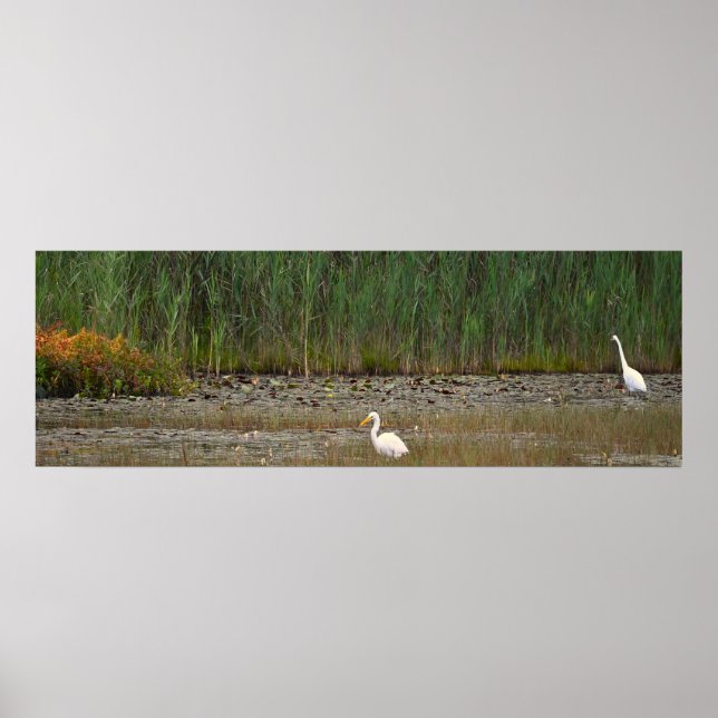 Heroner i Marsh Poster (Framsidan)