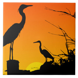 Heroner vid Sunset Tile Kakelplatta