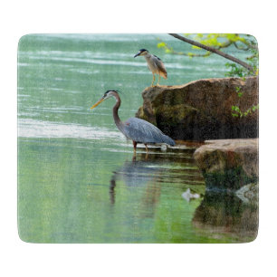 Herons