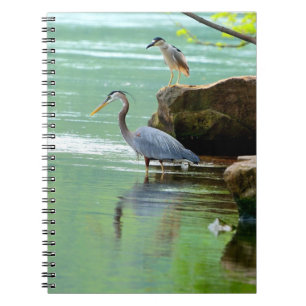 Herons Anteckningsbok