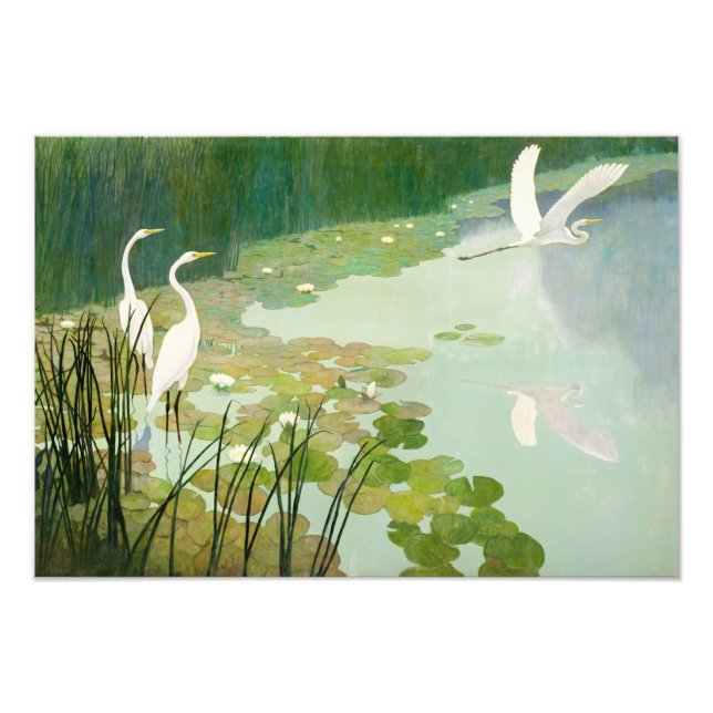 Herons in Summer by Newell Convers Wyeth Fototryck (Framsidan)