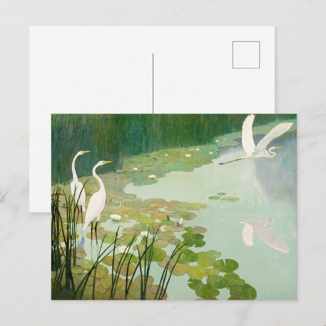 Herons in Summer by Newell Convers Wyeth Inbjudan Vykort (Fram/baksida)