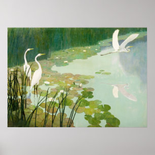 Herons in Summer by Newell Convers Wyeth Poster