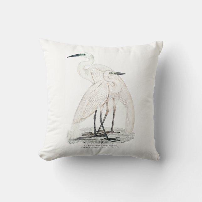 Herons kudder kudde (Framsida)