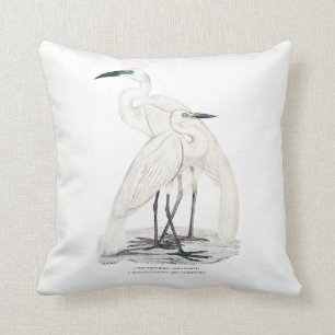 Herons kudder kudde