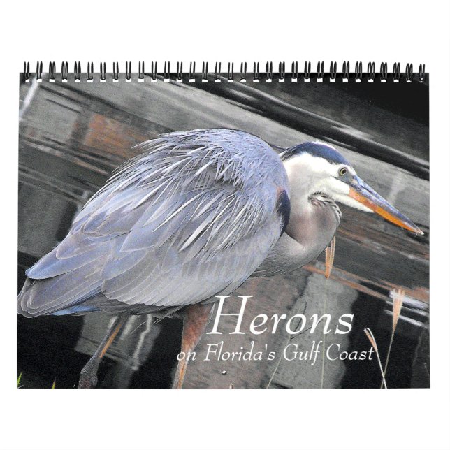 Herons Large and Small Kalender (Omslag)