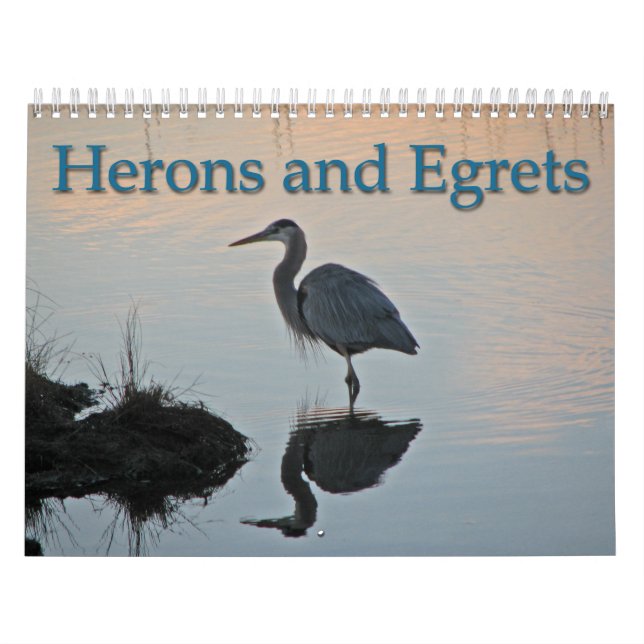 Herons och Egrets Kalender (Omslag)
