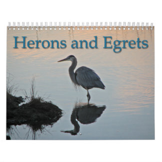 Herons och Egrets Kalender