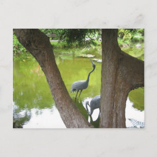 Herons Vykort