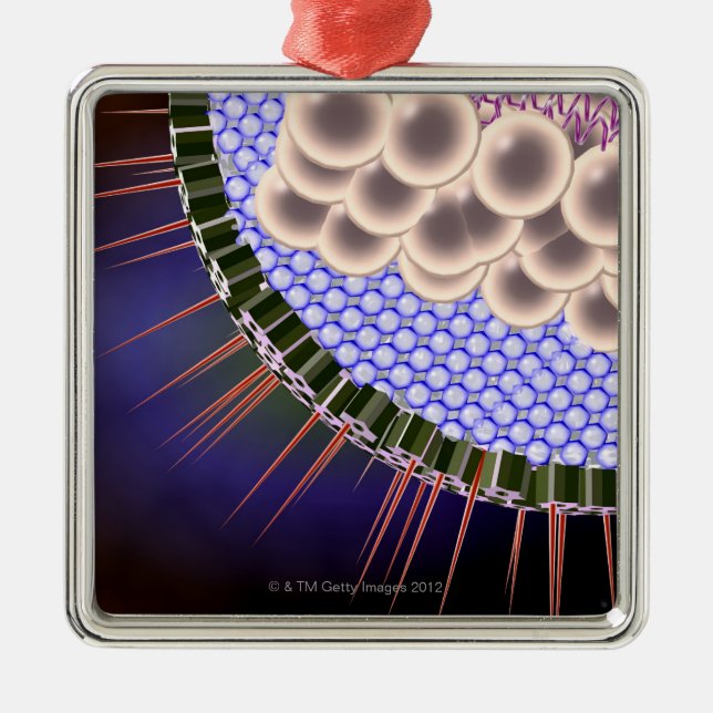 Herpesvirus Julgransprydnad Metall (Framsidan)