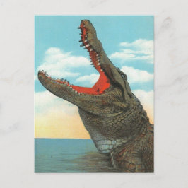 Herr Alligator Vykort