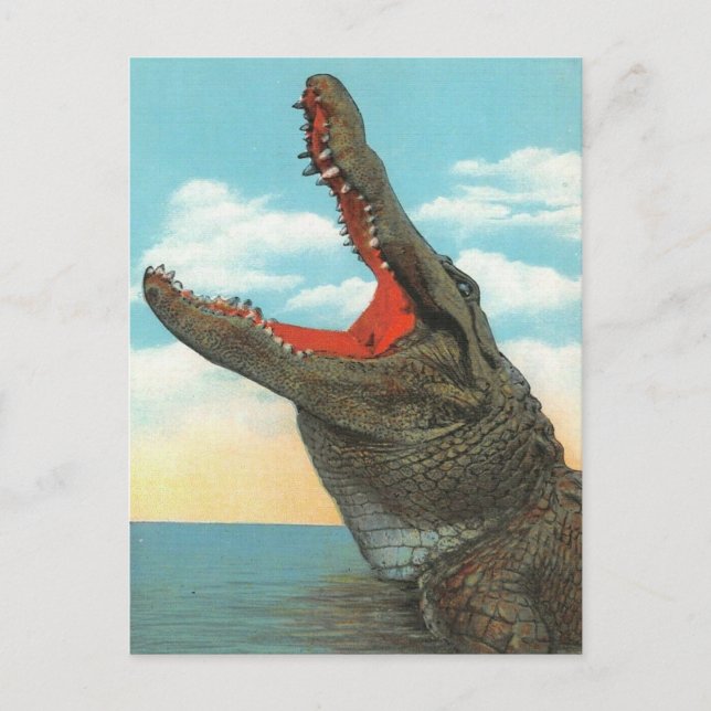 Herr Alligator Vykort (Framsida)
