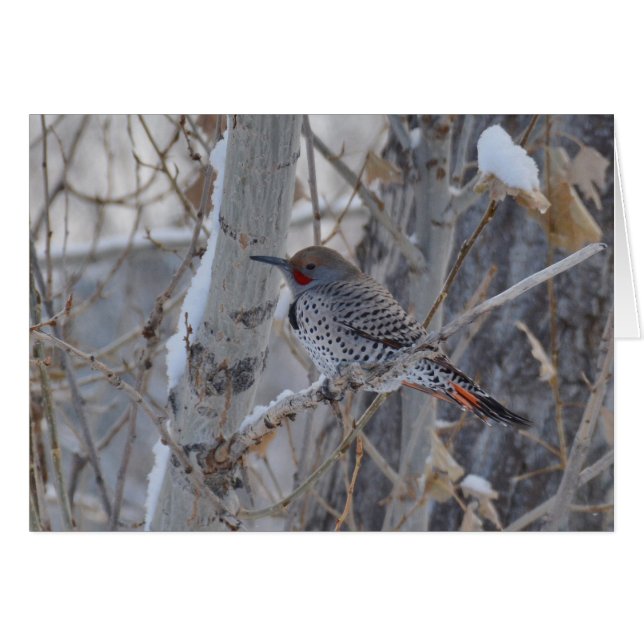 Herr blinkljus hälsningskort (Framsidan Horizontal)