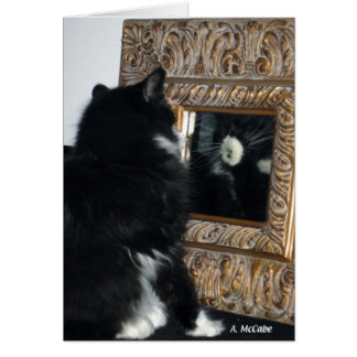 Herr Bootee, till och med det tittar Hälsningskort