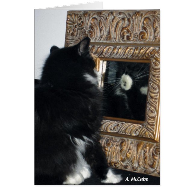 Herr Bootee, till och med det tittar Hälsningskort (Framsidan)