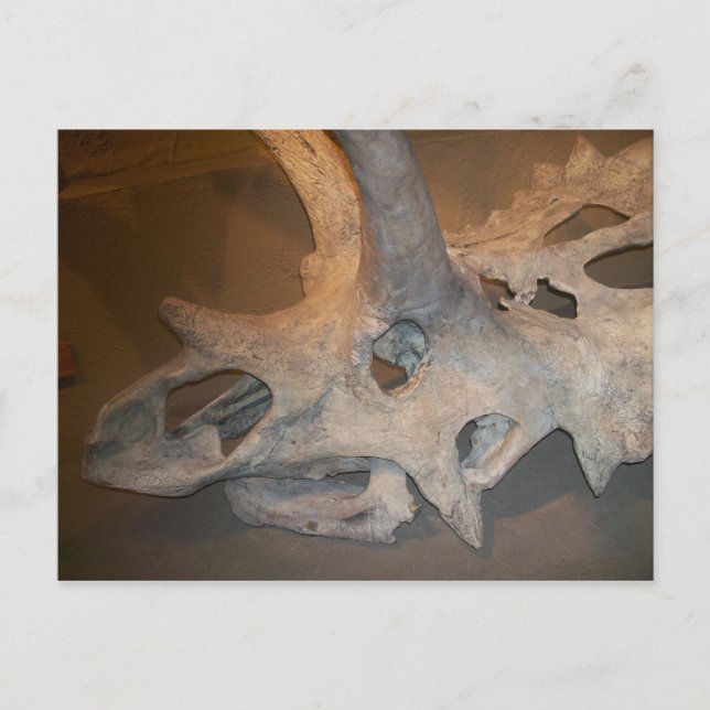 Herr dino #2 vykort (Framsida)