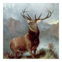 Herr Edwin Landseer | Glenmonark 1851