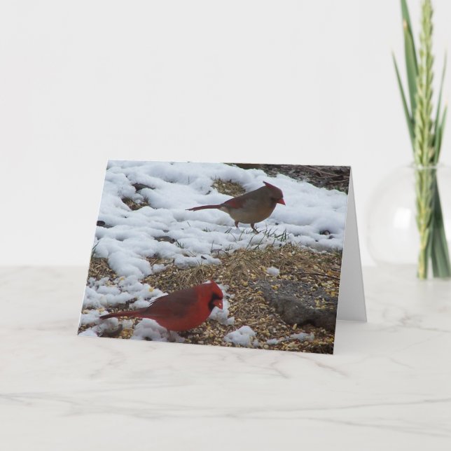 Herr&fru Kardinaldykning Kort (Framsida)