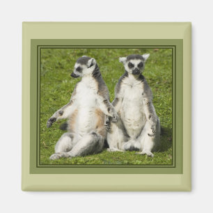 Herr & Fru Lemur Magnet