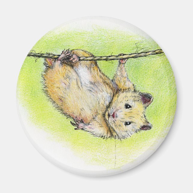 Herr Ham Magnet (Framsidan)