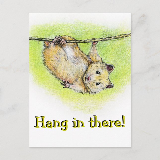 Herr Ham Vykort (Framsida)